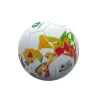 Trade con Cages Et Ballons De Foot<Ballon Euro 2020 T5