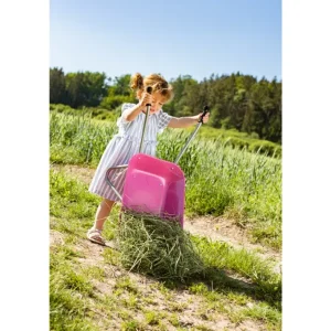 Rolly Toys Jeux Et Outils De Jardinage<Brouette Metal Rose
