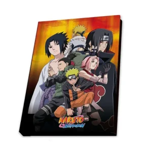 Abysse Anniversaire<Coffret Cadeau Naruto