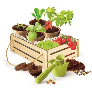 Clementoni Découverte De La Nature<Coffret Jardin Et Potager - Play For Future