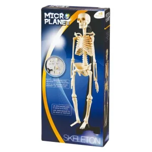 Microplanet Découverte De La Nature<Coffret Science Squelette Corps Humain