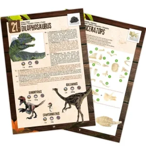 Buki Jeux Scientifiques<Dino Surprise Box