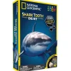 Bandai Découverte De La Nature<Kit De Fouille Dent De Requin
