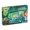 Clementoni Jeux Scientifiques<La Cite Des Fourmis