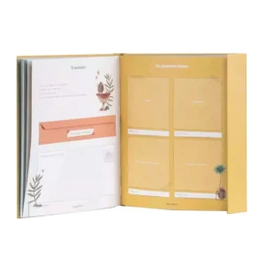 Moulin Roty Coffret Cadeaux, Naissance<Livre De Naissance - Les Trois Petits Lapins