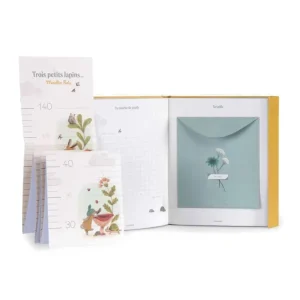 Moulin Roty Coffret Cadeaux, Naissance<Livre De Naissance - Les Trois Petits Lapins