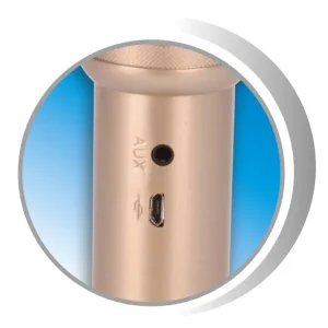 Music Star Micros Et Karaoké<Micro Bluetooth Karaoké