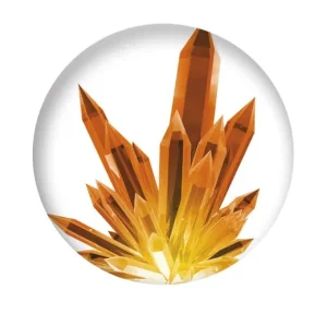 Microplanet Jeux Scientifiques<Microscope Et Accessoires