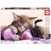 Educa Puzzles Adultes<Puzzle 500 Pieces Compagnons De Reves