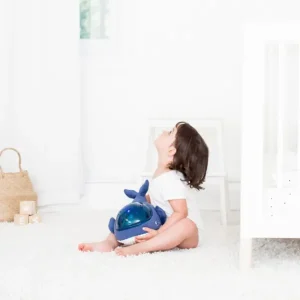 Pabobo Veilleuses<Veilleuse Musicale Baleine Aqua Dream